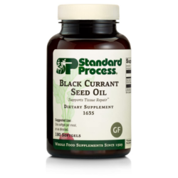 Black Current Seed